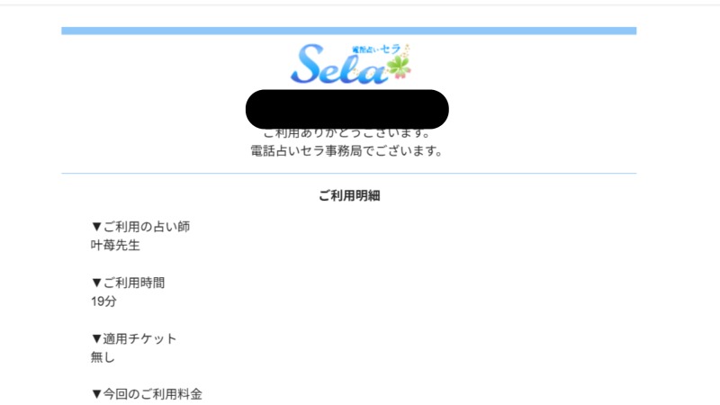 叶苺先生の鑑定の明細