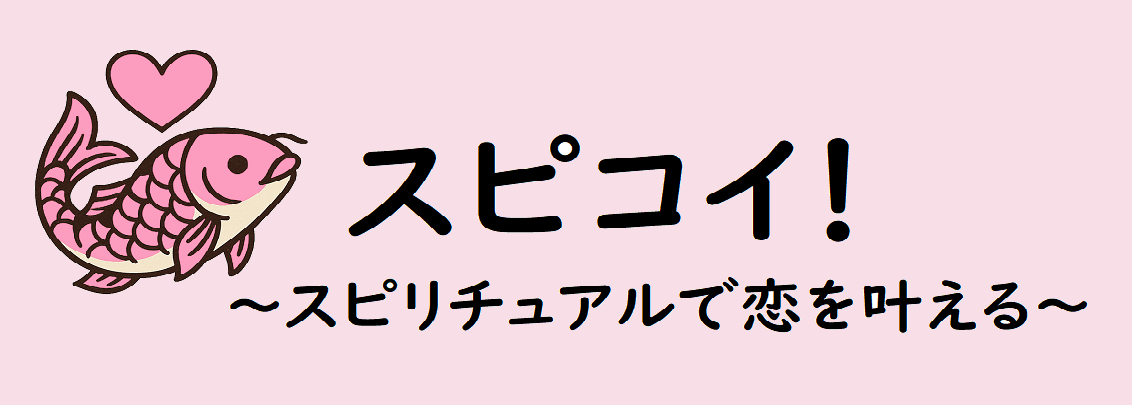 スピ☆コイ