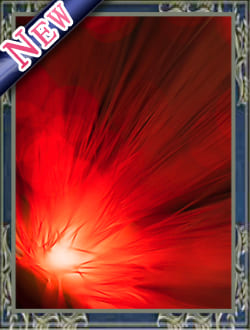 神照ソウルー先生　電話占いウィル