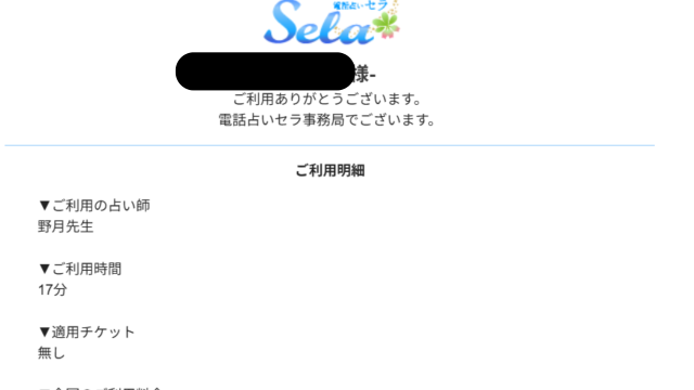 野月先生(電話占いセラ)の鑑定明細