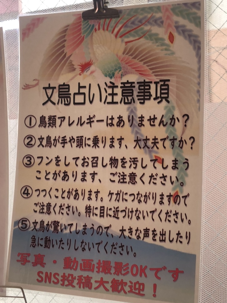 吉祥天女 文鳥占いの注意事項