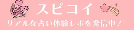 スピ☆コイ